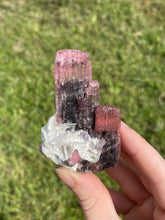 Load image into Gallery viewer, Elbaite (var. Rubellite) Tourmaline on Albite