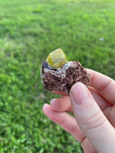 Load image into Gallery viewer, Garnet (var. Topazolite) on Matrix