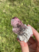 Load image into Gallery viewer, Elbaite (var. Rubellite) Tourmaline on Albite