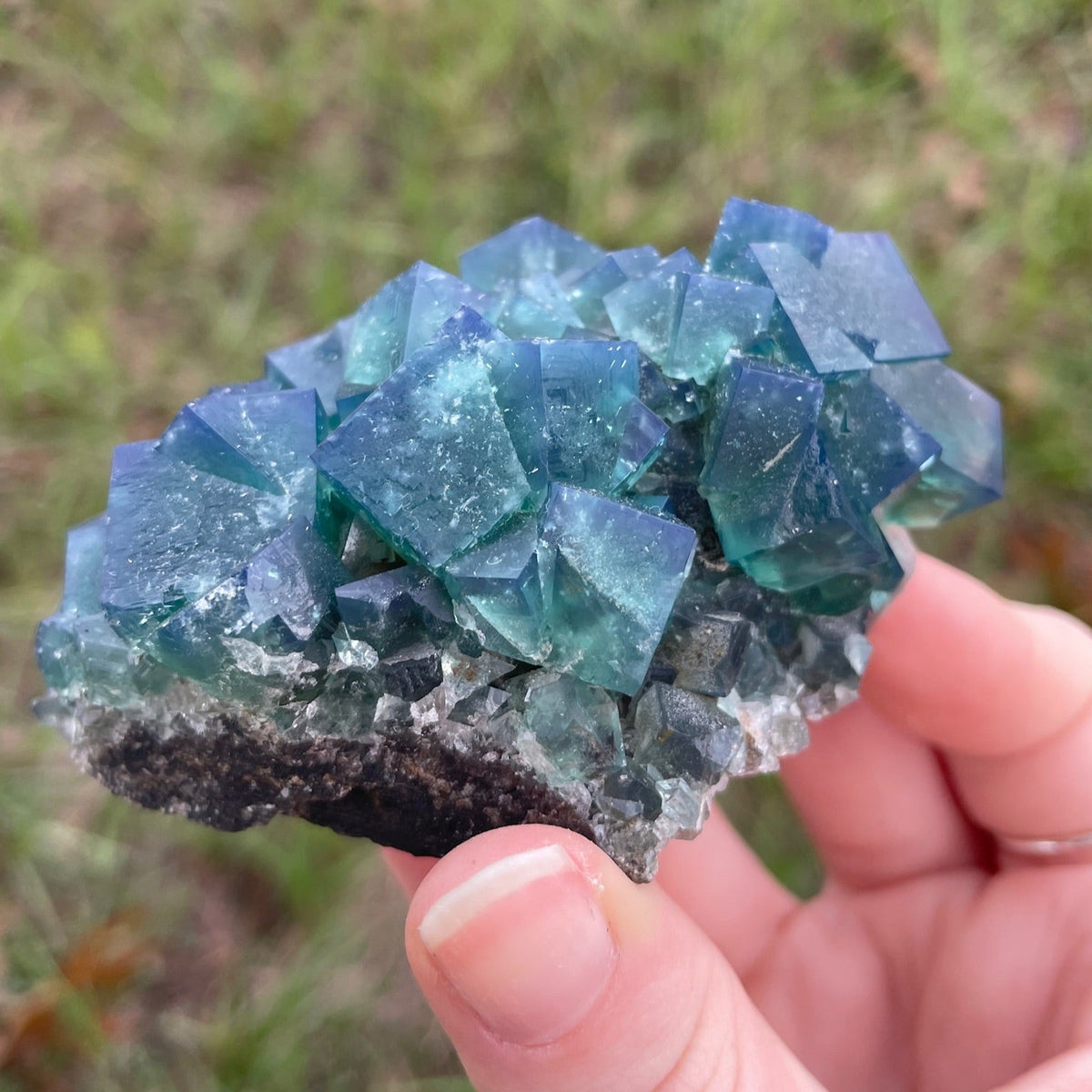Rojerley鉱山 Cousin Jack Pocket フローライト Green-Blue English Fluorite from the Cousin Jack Pocket at