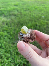 Load image into Gallery viewer, Garnet (var. Topazolite) on Matrix