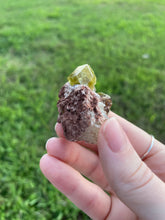 Load image into Gallery viewer, Garnet (var. Topazolite) on Matrix