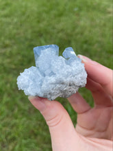 Load image into Gallery viewer, Celestite