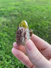 Load image into Gallery viewer, Garnet (var. Topazolite) on Matrix