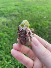 Load image into Gallery viewer, Garnet (var. Topazolite) on Matrix