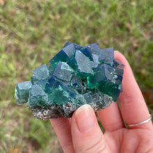 Load image into Gallery viewer, Green-Blue English Fluorite from the Cousin Jack Pocket at Rogerley Mine