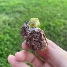 Load image into Gallery viewer, Garnet (var. Topazolite) on Matrix