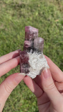 Load and play video in Gallery viewer, Elbaite (var. Rubellite) Tourmaline on Albite
