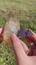 Load and play video in Gallery viewer, Elmwood Calcite on Purple Fluorite