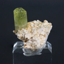 Load image into Gallery viewer, Apatite on Matrix