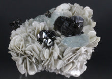 Load image into Gallery viewer, Cassiterite, Aquamarine, and Muscovite