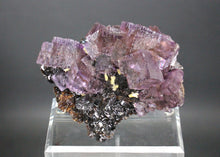 Load image into Gallery viewer, Purple Fluorite on Sphalerite