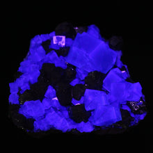 Load image into Gallery viewer, English Fluorite with Galena from the Cousin Jack Pocket - F1054