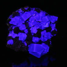 Load image into Gallery viewer, English Fluorite with Galena from the Cousin Jack Pocket - F1059