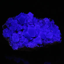 Load image into Gallery viewer, English Fluorite with Galena from the Cousin Jack Pocket - F1062