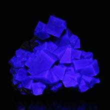 Load image into Gallery viewer, English Fluorite with Galena from the Cousin Jack Pocket - F1064
