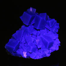 Load image into Gallery viewer, English Fluorite from the Cousin Jack Pocket - F1065