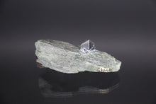 Load image into Gallery viewer, Magnetite