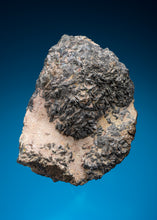 Load image into Gallery viewer, Nickeline