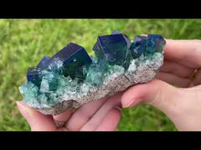 Load and play video in Gallery viewer, English Fluorite with Galena from the Cousin Jack Pocket - F1061