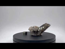 Load and play video in Gallery viewer, Smoky Quartz with Colloform Fluorite