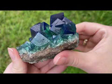 Load and play video in Gallery viewer, English Fluorite with Galena from the Cousin Jack Pocket - F1060