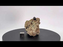 Load and play video in Gallery viewer, Spinel