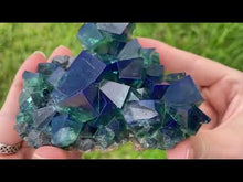 Load and play video in Gallery viewer, English Fluorite with Galena from the Cousin Jack Pocket - F1064