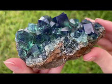 Load and play video in Gallery viewer, English Fluorite with Galena from the Cousin Jack Pocket - F1062