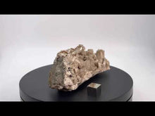 Load and play video in Gallery viewer, Prehnite with Albite (var. Pericline)