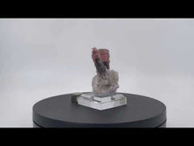 Load and play video in Gallery viewer, Elbaite (var. Rubellite) Tourmaline & Albite