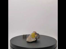 Load and play video in Gallery viewer, Doubly-Terminated Mimetite Crystal on Quartz, 19th c.