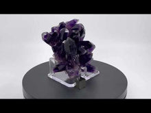 Load and play video in Gallery viewer, Porkura Amethyst Cluster