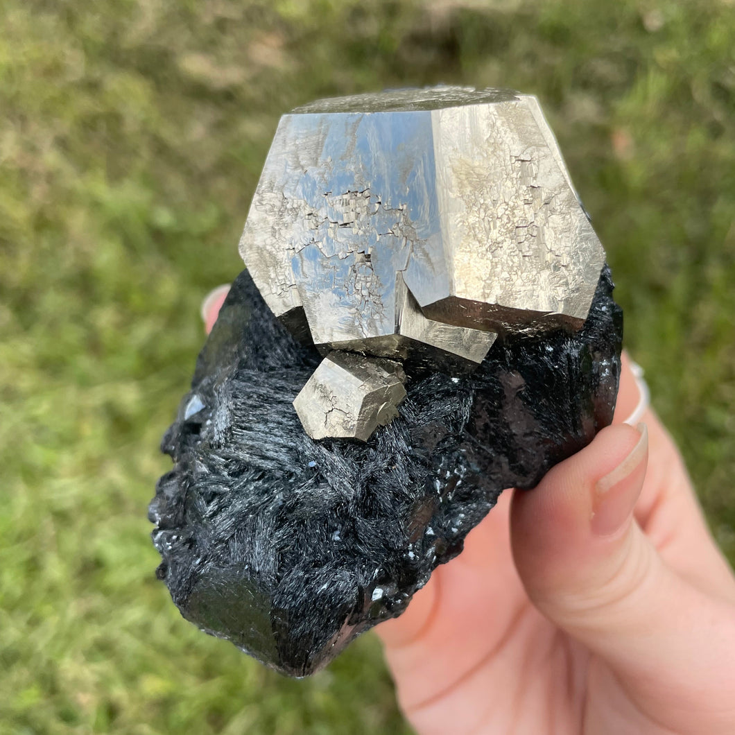 Elba Island Pyrite with Hematite