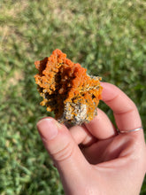 Load image into Gallery viewer, Botryoidal Mimetite from Iran

