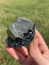 Load image into Gallery viewer, Elba Island Pyrite on Hematite
