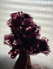 Load image into Gallery viewer, Fluorite from Okorusu Mine
