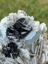 Load image into Gallery viewer, Cassiterite, Aquamarine, and Muscovite
