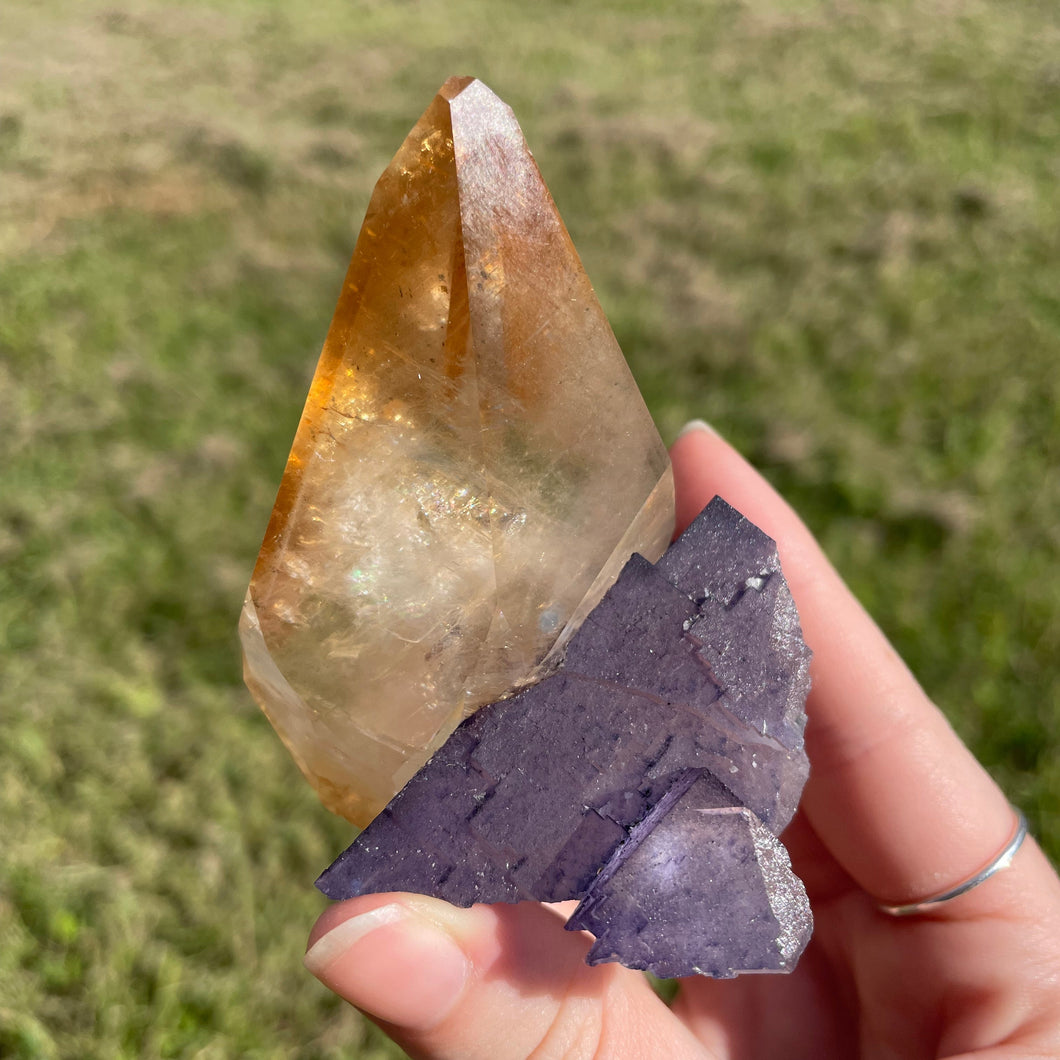 Elmwood Calcite on Purple Fluorite