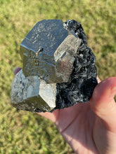 Load image into Gallery viewer, Elba Island Pyrite &amp; Hematite
