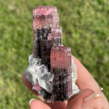 Load image into Gallery viewer, Elbaite (var. Rubellite) Tourmaline on Albite
