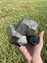 Load image into Gallery viewer, Enormous Elba Island Pyrite on Hematite
