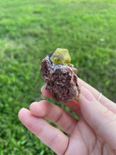 Load image into Gallery viewer, Garnet (var. Topazolite) on Matrix
