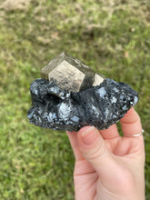 Load image into Gallery viewer, Elba Island Pyrite with Hematite
