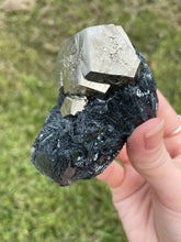 Load image into Gallery viewer, Elba Island Pyrite with Hematite
