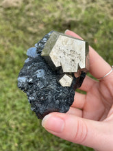 Load image into Gallery viewer, Elba Island Pyrite with Hematite
