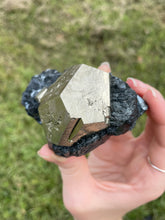 Load image into Gallery viewer, Elba Island Pyrite with Hematite
