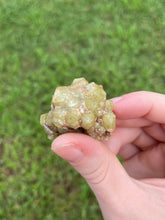 Load image into Gallery viewer, Garnet (var. Topazolite)
