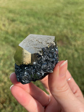 Load image into Gallery viewer, Elba Island Pyrite on Hematite
