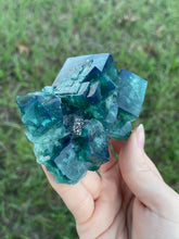 Load image into Gallery viewer, Green-Blue English Fluorite from the Cousin Jack Pocket at Rogerley Mine
